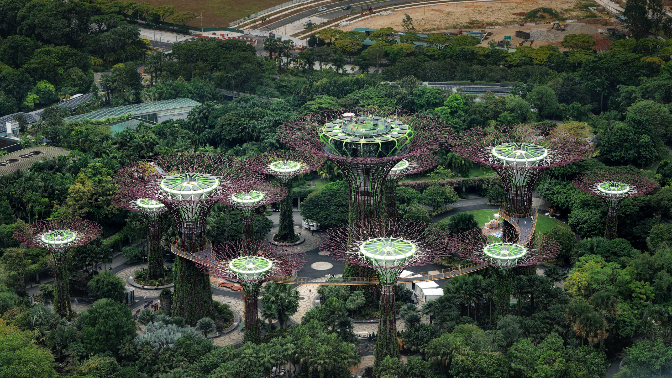 Роща Супердеревьев в парке Gardens by the Bay, Сингапур